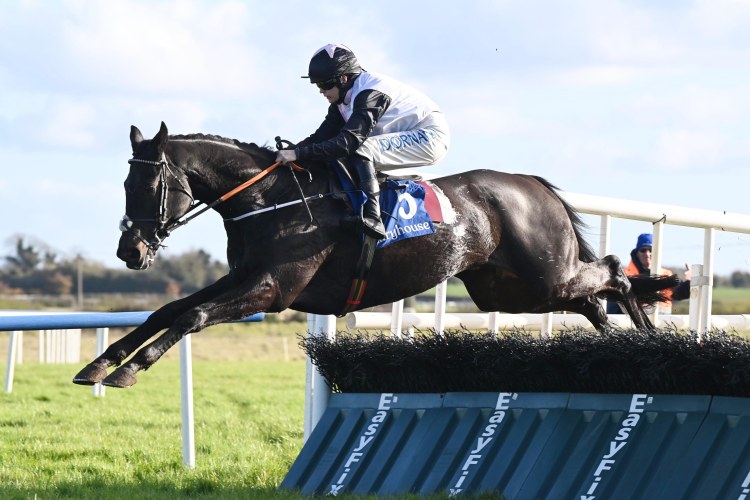 An Tobar out to underline his growing reputation at Naas